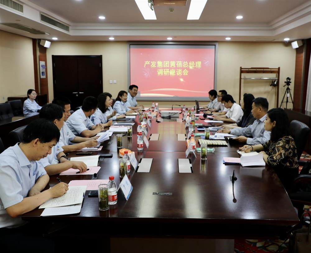 集團(tuán)黨委副書記、總經(jīng)理黃蓓帶隊(duì)調(diào)研濟(jì)南市工程咨詢院