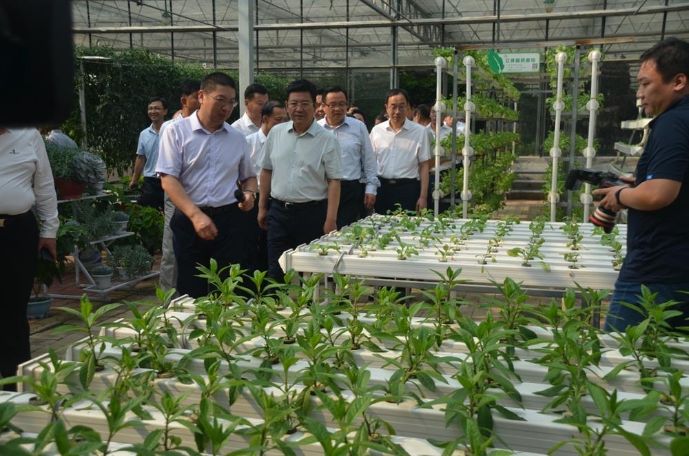 科技助農(nóng)，播撒光的種子  精準(zhǔn)扶貧，助力鄉(xiāng)村振興