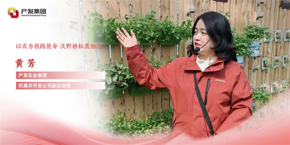 巾幗綻芳華 | 產(chǎn)發(fā)實(shí)業(yè)集團(tuán)權(quán)屬農(nóng)開(kāi)發(fā)公司 黃芳：以農(nóng)為根踐使命，沃野耕耘展擔(dān)當(dāng)